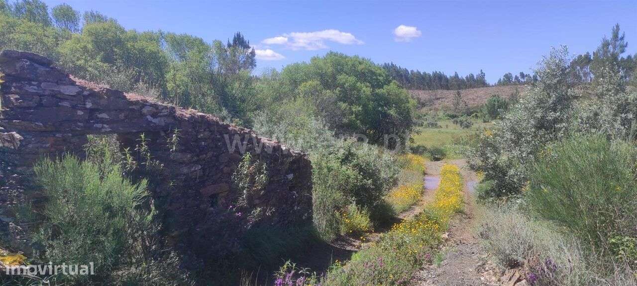 Quinta / Castelo Branco, São Vicente da Beira - Grande imagem: 2/11