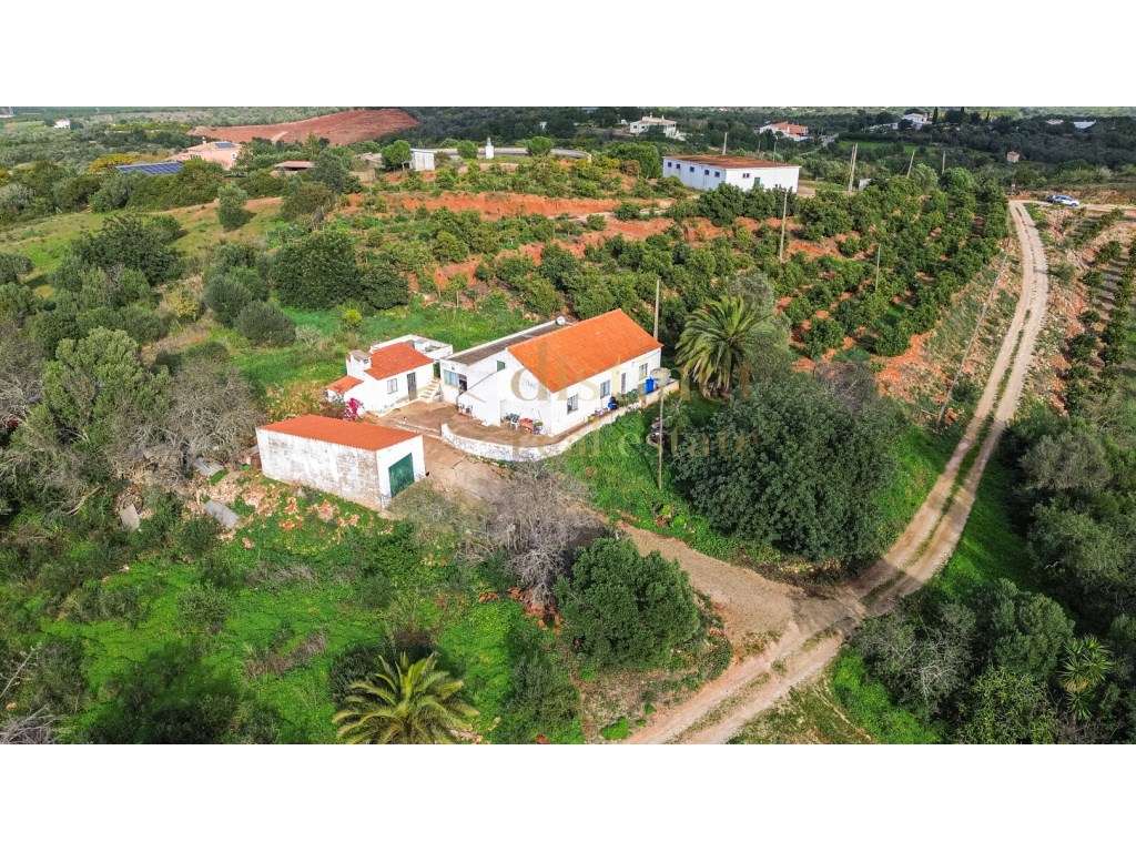 Casa de campo térrea com a necessidade de algumas obras num terreno... - Grande imagem: 4/30