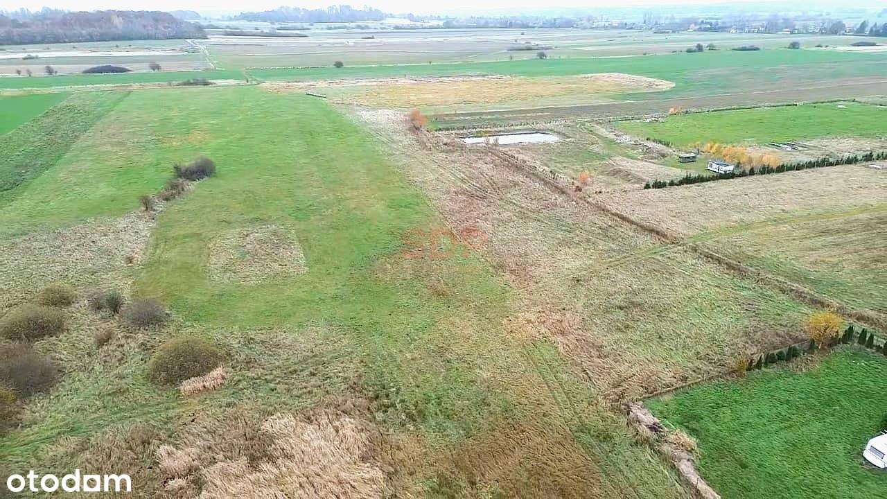 Grunt 2000 m od plaży | WZ - Pełny obrazek: 5/7