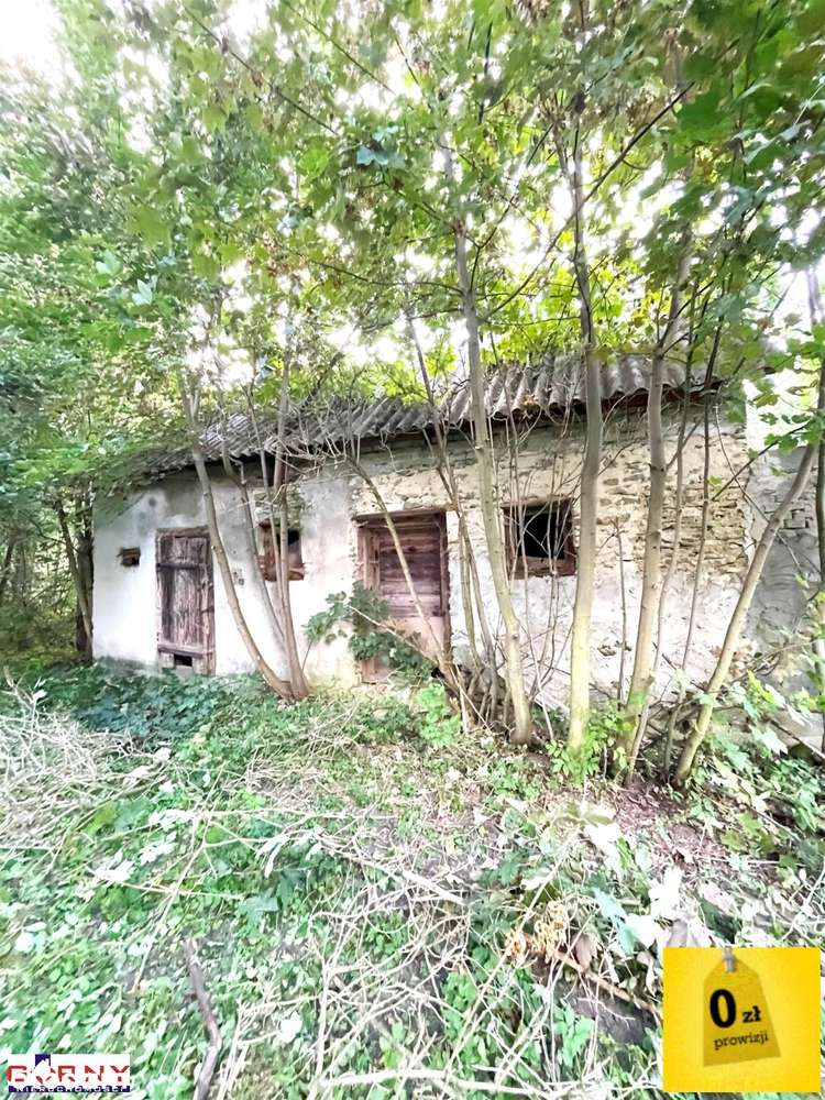 Dwa domy, duża działka, możliwa zamiana !!!-9