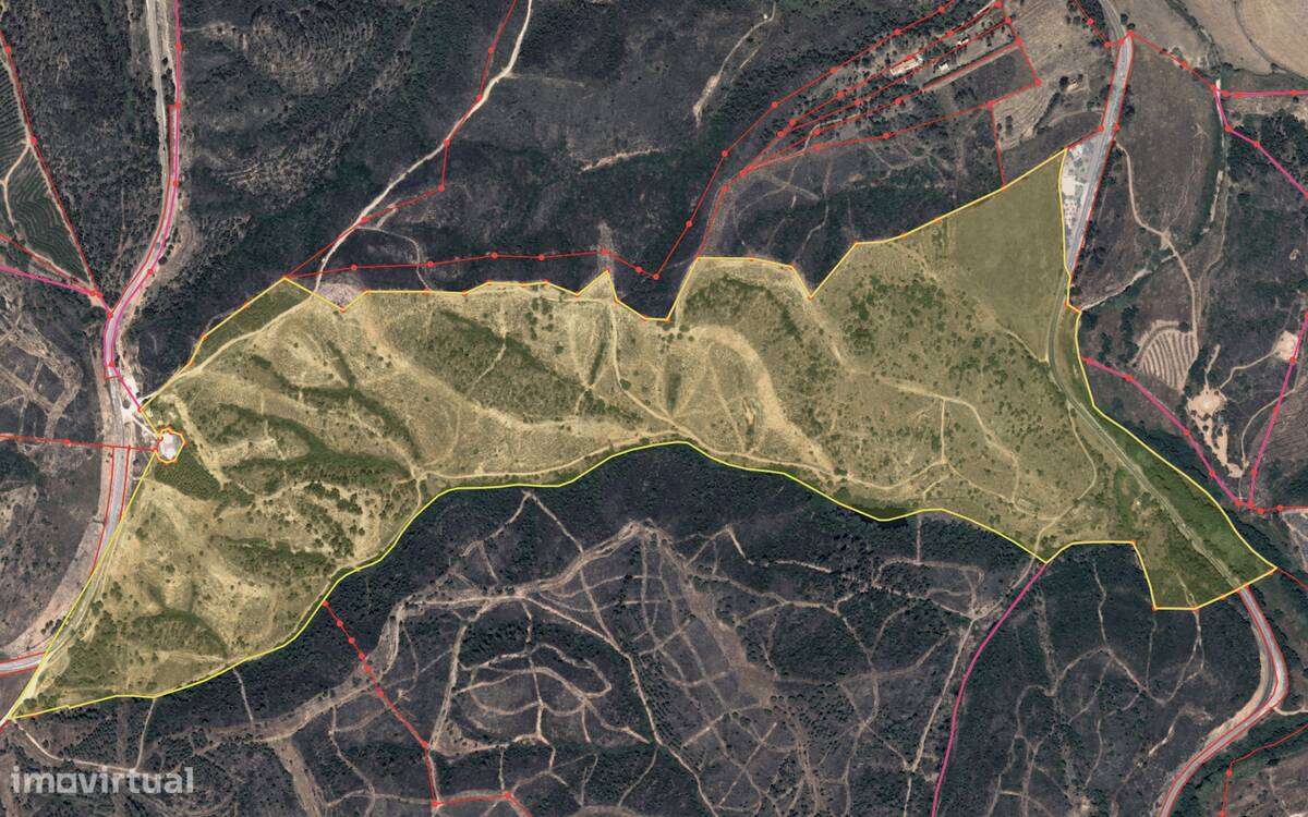 Herdade Moinho Corisco-15