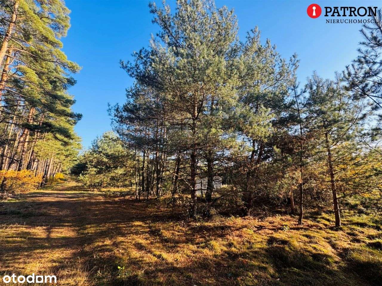 Sprzedam działkę o pow. 2 438 m² w Rurzycy-13