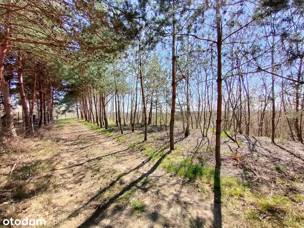 2 działki 2,4 ha ul. Ciborowska, os. Godów/ Sołtyków, Radom-3