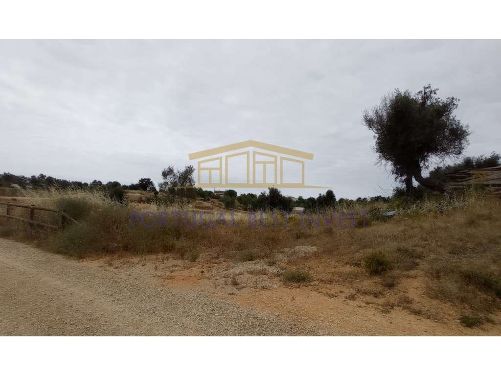 Terreno com projeto aprovado para Quinta Rural - Grande imagem: 5/6