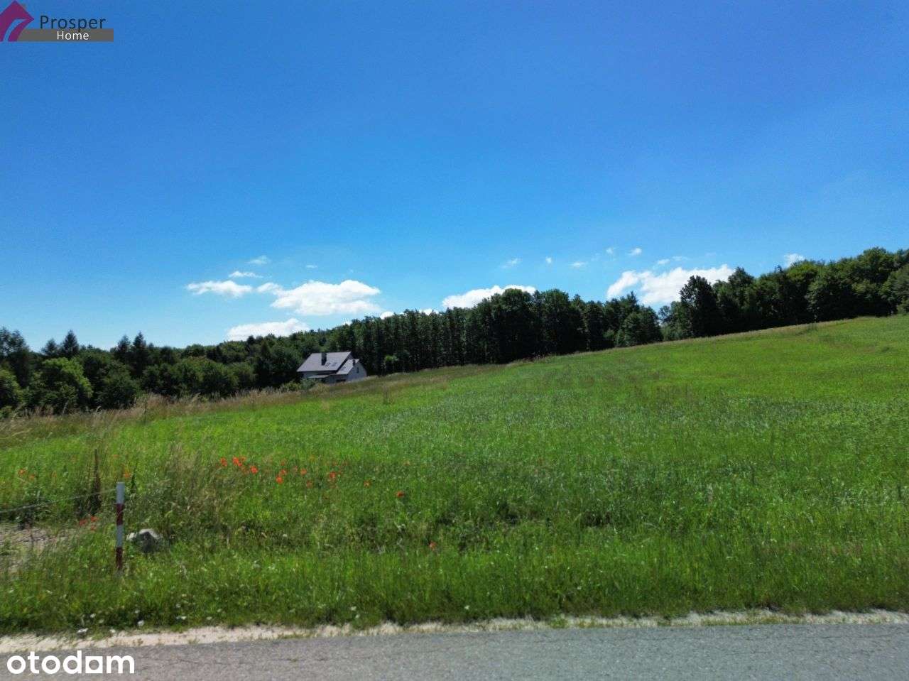 Działka z Wz 13a• Widokowa • Mogielnica-6