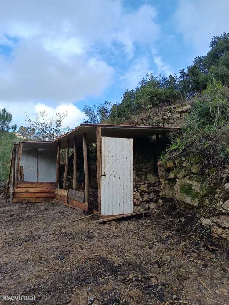 Pomar Novo - Coxo - Grande imagem: 5/7