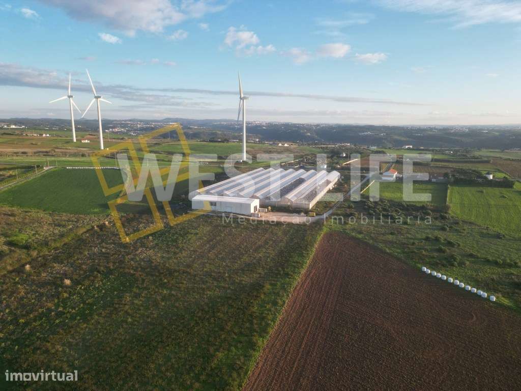 Terreno Rústico Urbanizável com 40750m2 - Oportunidade para constru... - Grande imagem: 5/11