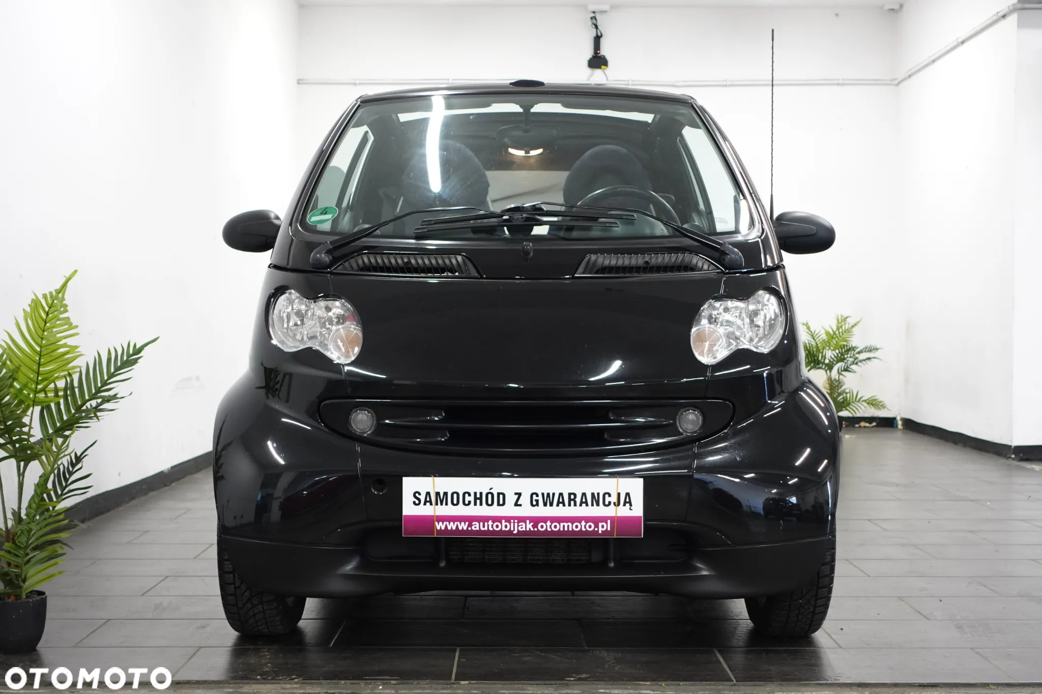 Smart Fortwo & pulse - 14