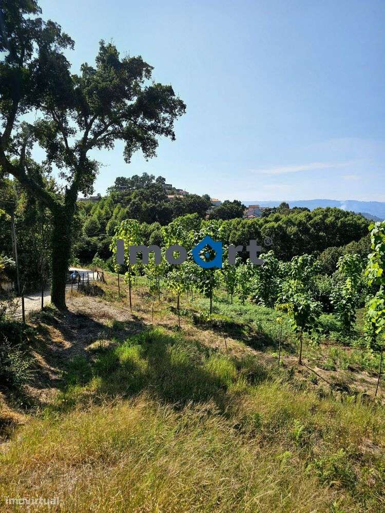 Terreno com nascente de Água!-15