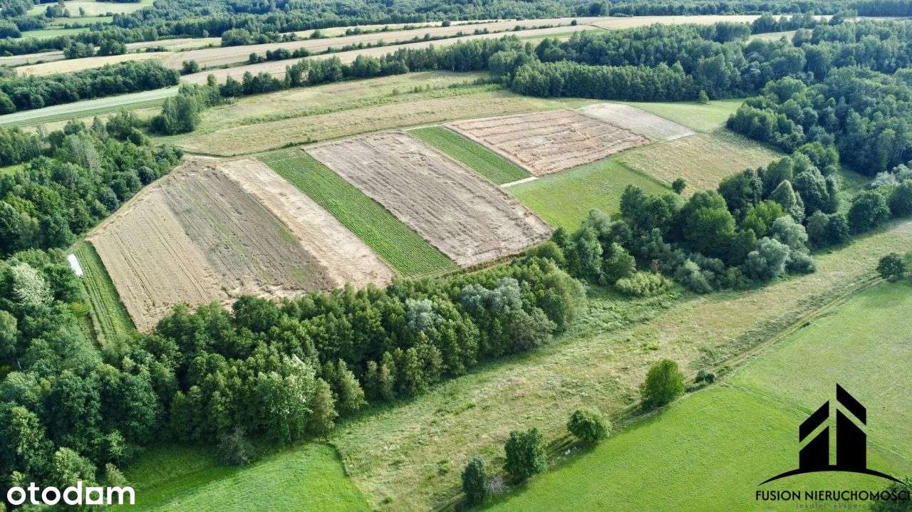 Urokliwa działka z potencjałem | 7842 m² | Łubno,-7