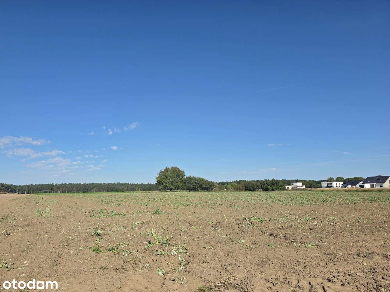 Duża działka usługowa Wschowa (woj. lubuskie) - Pełny obrazek: 5/8