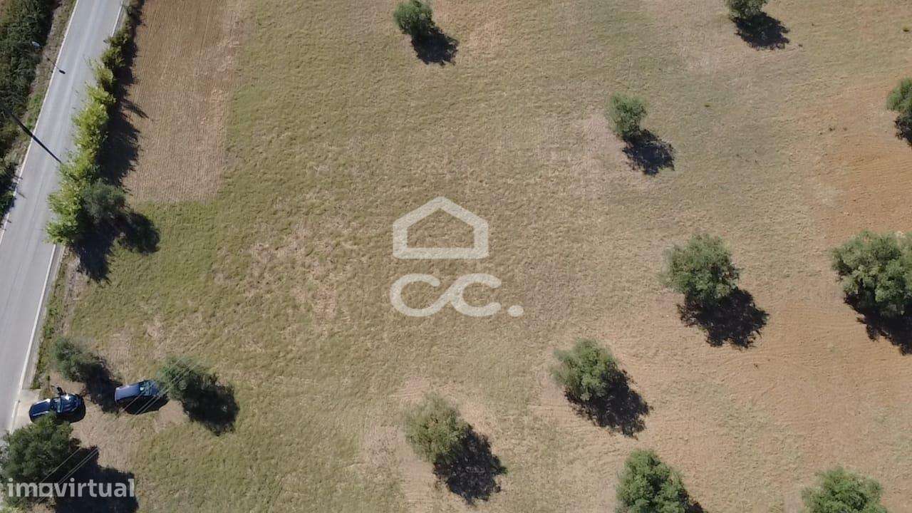 Terreno Rústico com 25.240 m² em Ferras, Gavata, Torres Novas – RAN-32