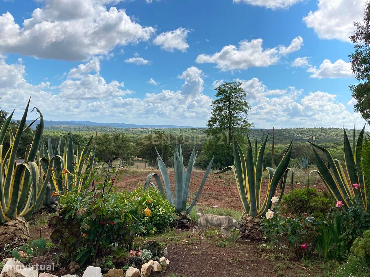 Herdade da Pedra Longa — Um Património Único no Coração do Alentejo-1