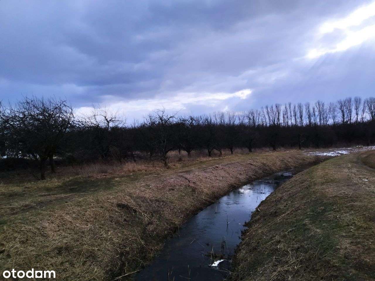 Działka, 14 124 M2, Nadbrzeż - Pełny obrazek: 5/15