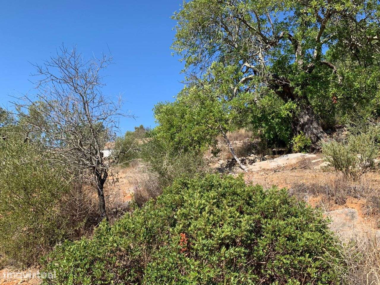 Terreno Urbano, com 3 artigos, Colmeal-25