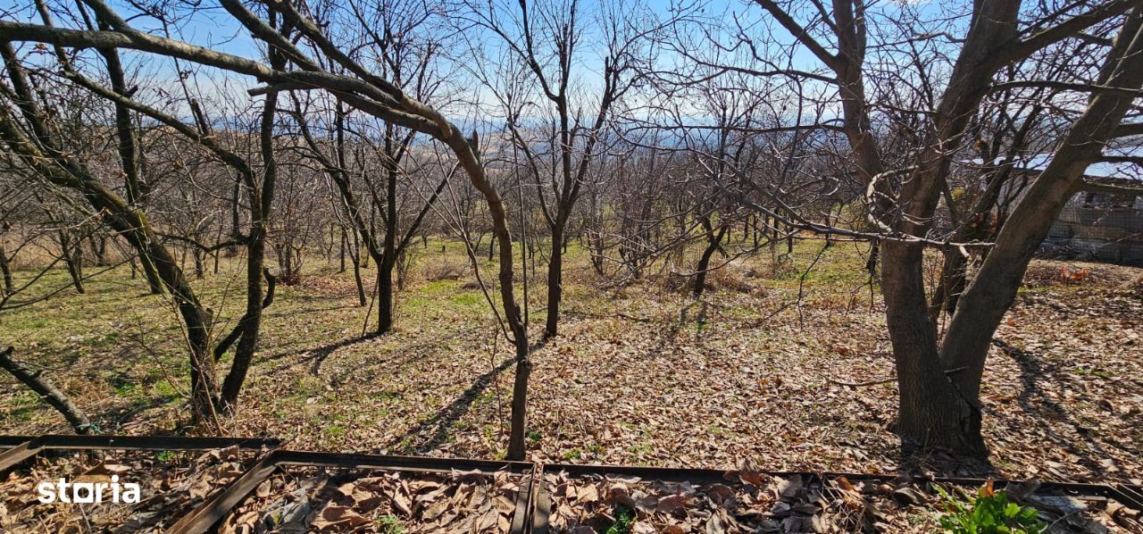 Vanzare teren intravilan, 2939 mp, in Seciu