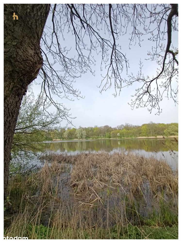 Dom z widokiem na jezioro- Służewo, powiat aleksandrowski-16