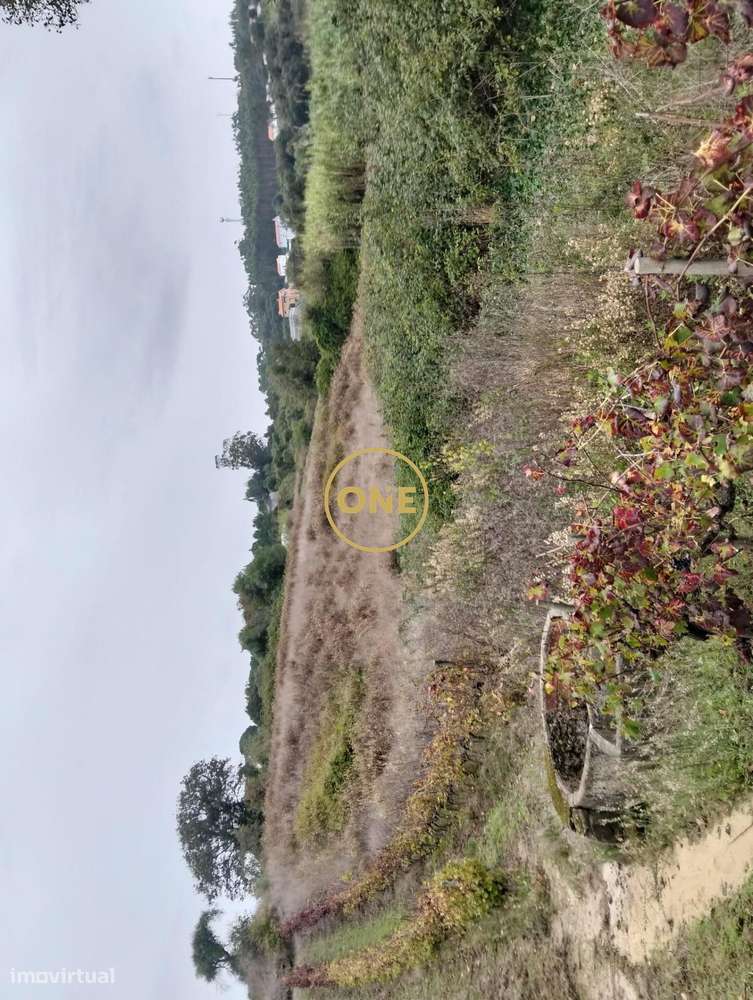 Terreno Rústico com 3312 m2 - Sobral da Abelheira e Azueira - Grande imagem: 3/10