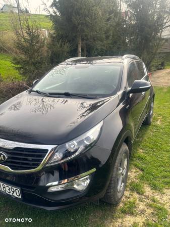 Kia Sportage - 1