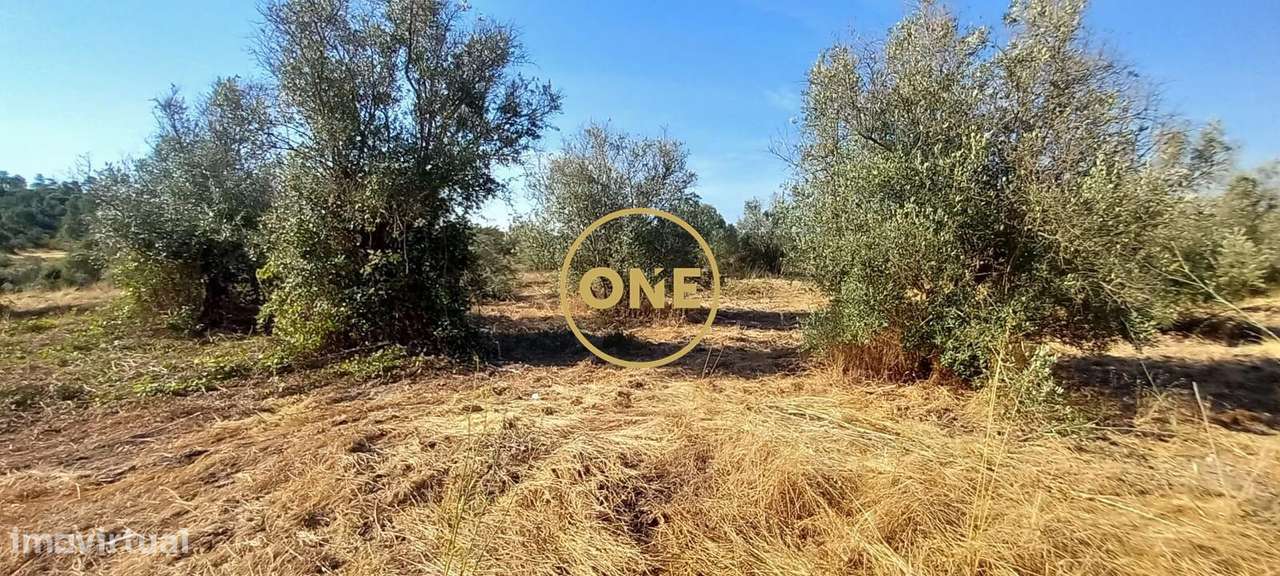 Terreno com 21.960 m2 e viabilidade construtiva | Vila Nova da Barquin-11