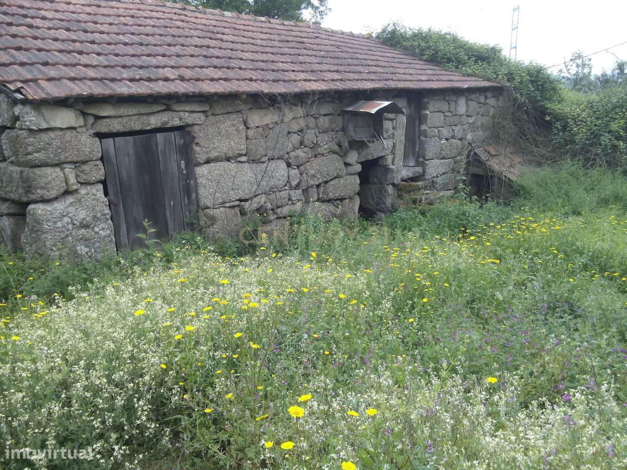 Moradias de Pedra com Potencial na Natureza de Abragão, Penafiel - Grande imagem: 4/17