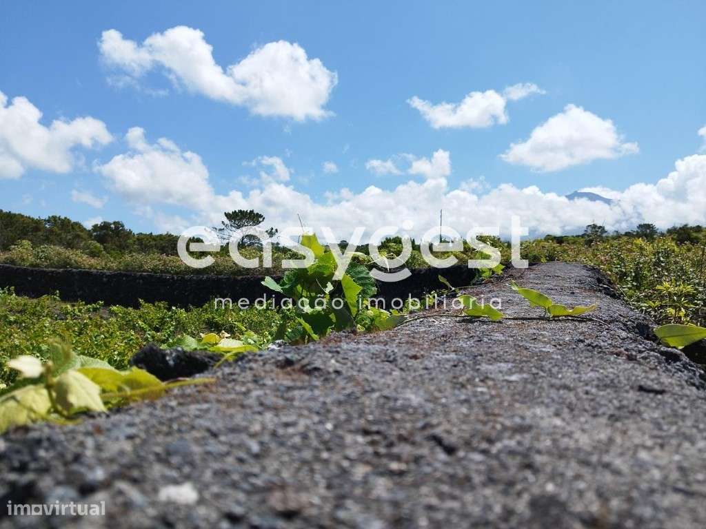 Terreno urbano na freguesia da Criação Velha com 1.800m2 - Grande imagem: 4/20