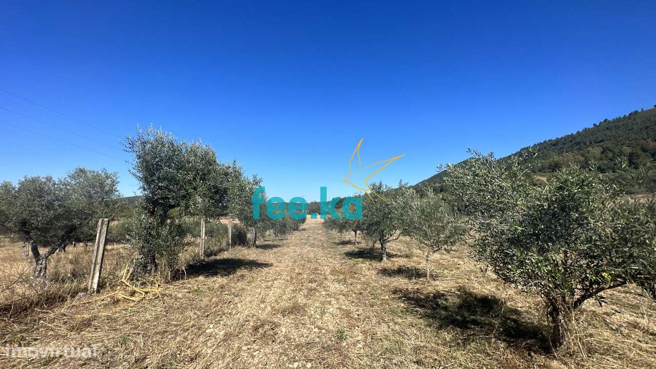 Quintinha em Monfortinho-22