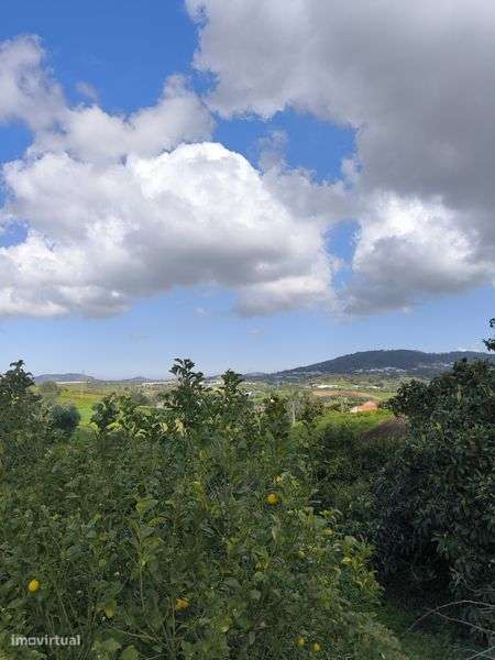 Vendo Ruína em Albogas/Almargem do Bispo-9