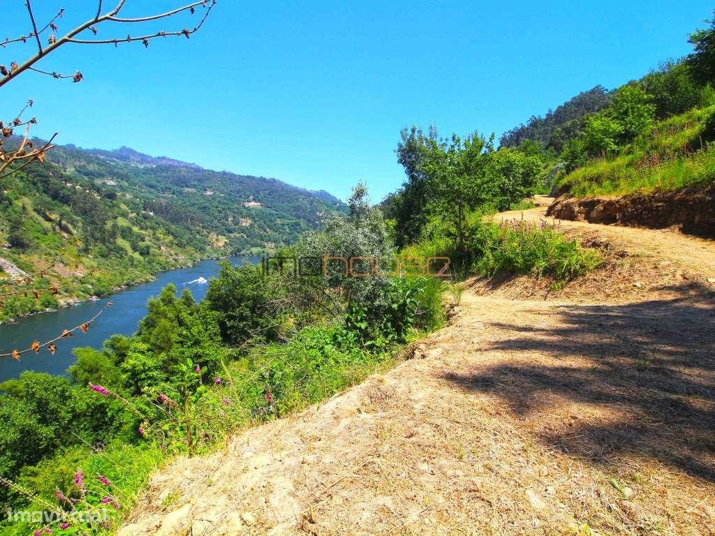 Quinta com frente de Rio Douro-21