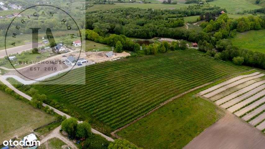 każda historia ma swój początek-9