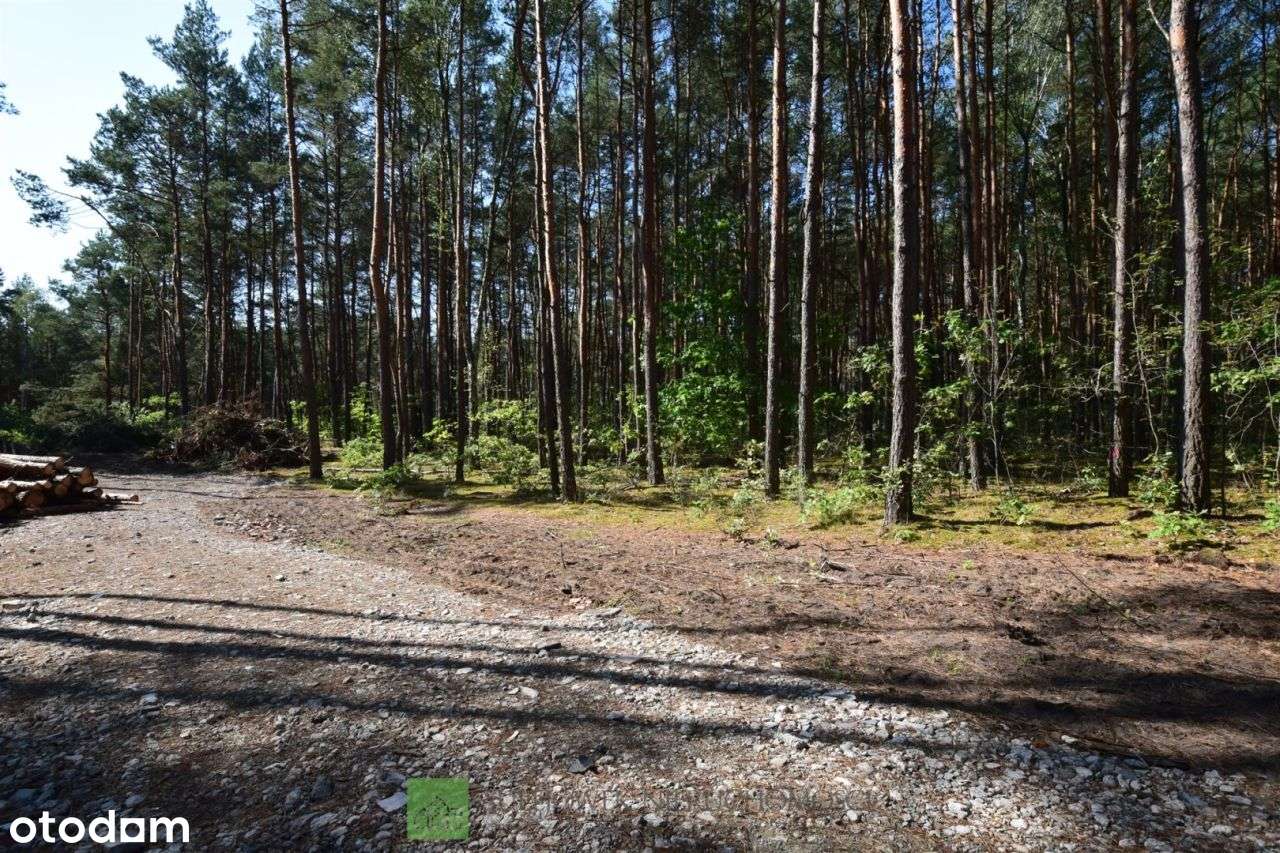 Działka, 1 535 m², Sulejówek-3