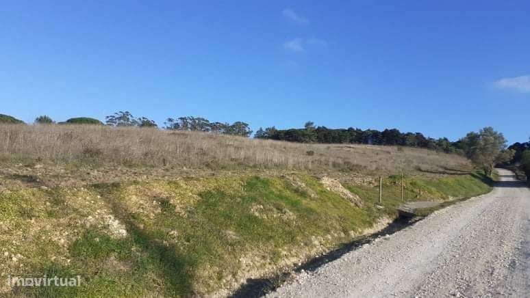 Azeitão Terreno 65000 M2 bom para plantação vinha. - Grande imagem: 2/10