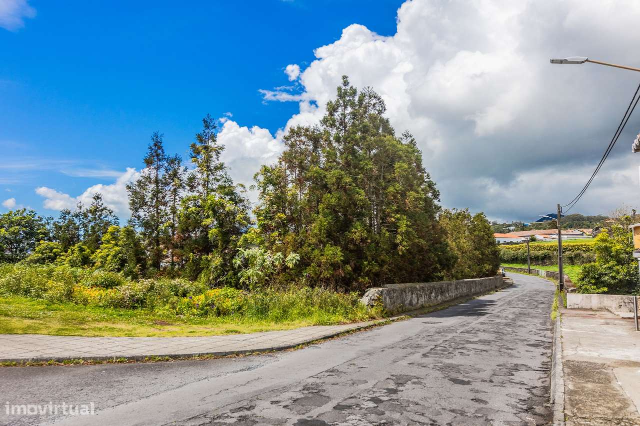 Lote para Construção - Rosto do Cão - Grande imagem: 4/7