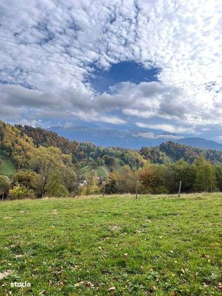 PROPRIETAR - 3274 mp intravilan Simon (BRAN) - Imagine principală: 5/8