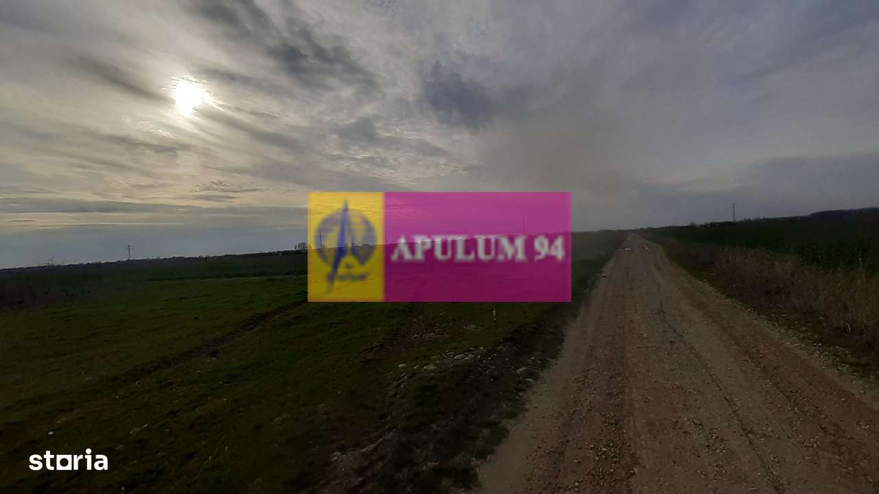 Parcelă lângă pădure în Ilfov - Imagine principală: 4/9