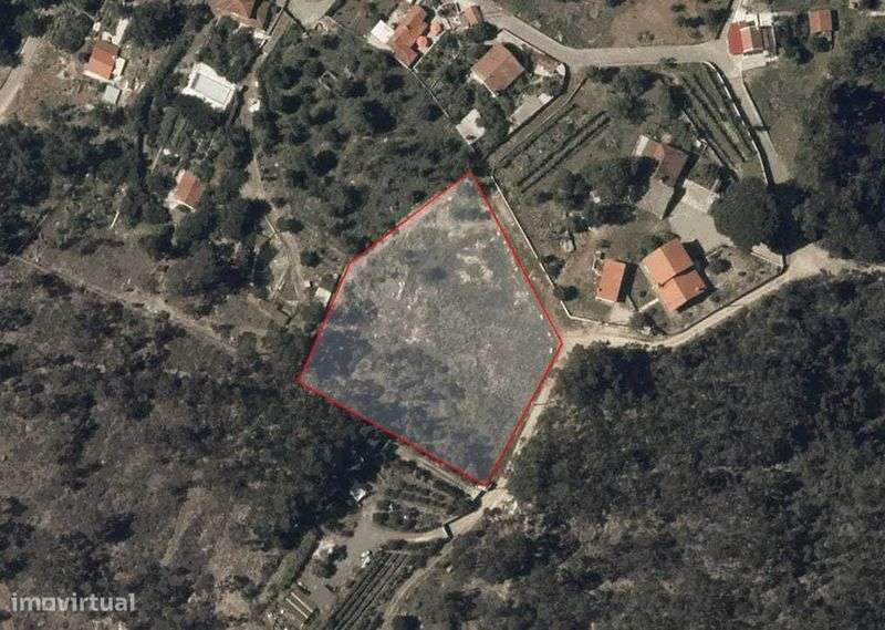 Terreno para construção com 5000m2 com projeto ja aprovado - Grande imagem: 5/11