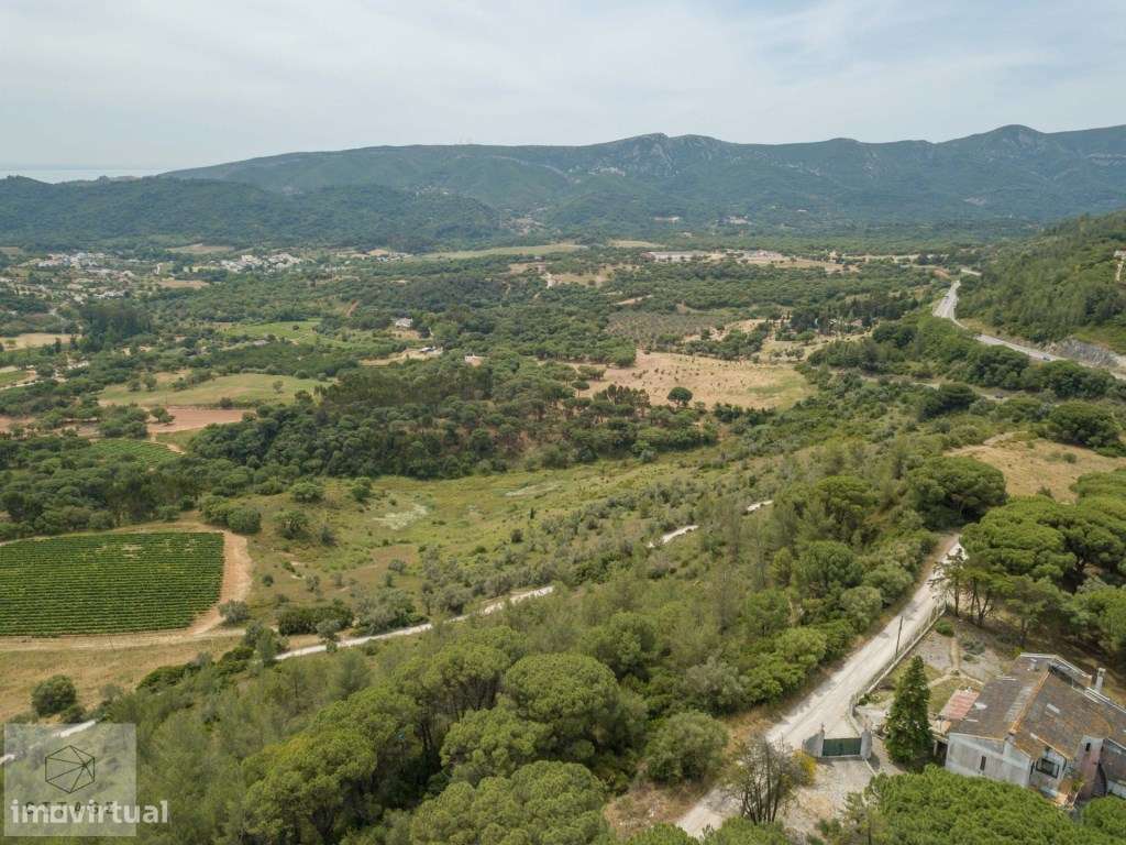 Terreno para venda na Arrábida - Grande imagem: 5/12