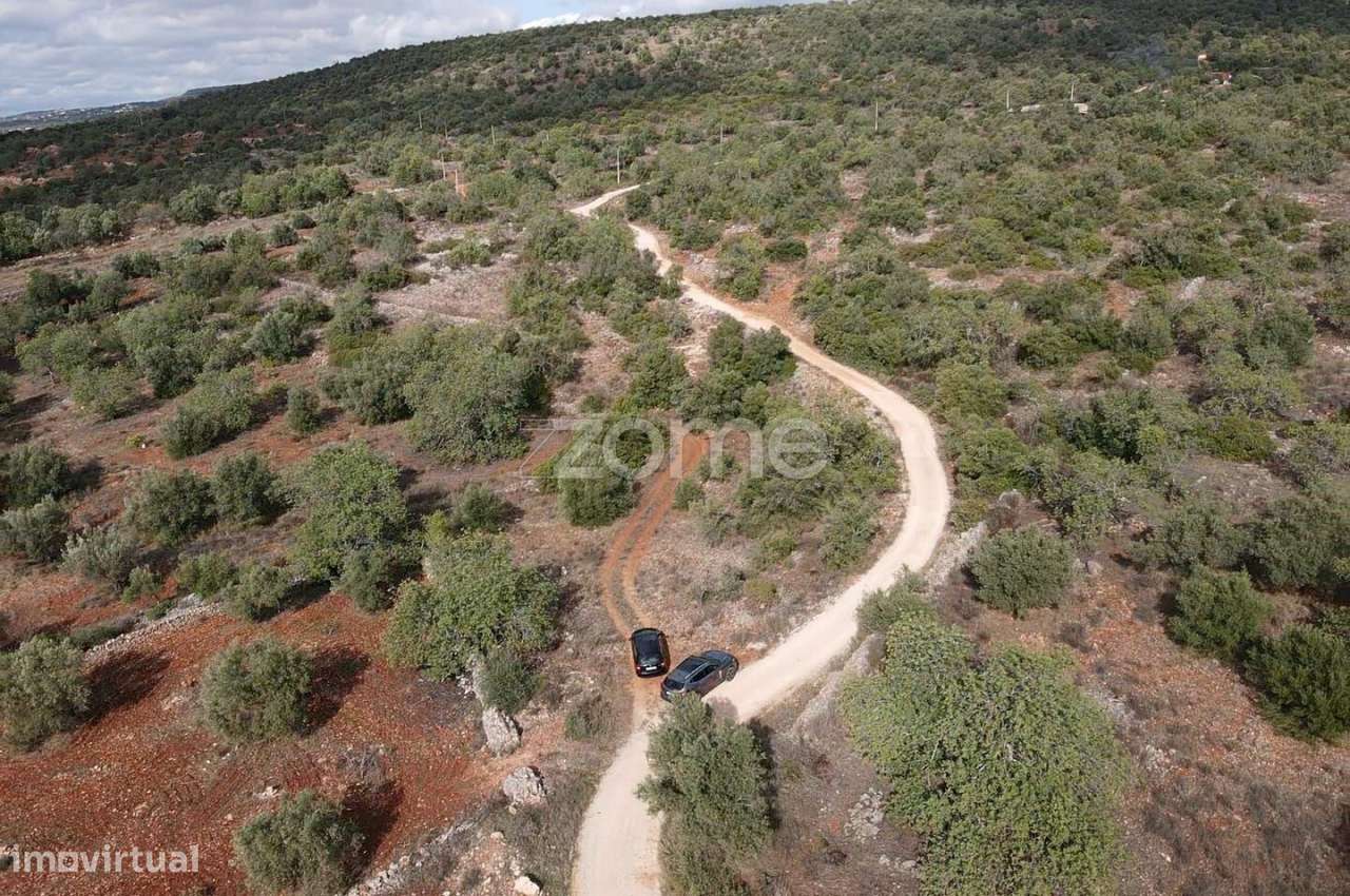 Terreno Rústico em Cerro Monte Brito com 11.460m2