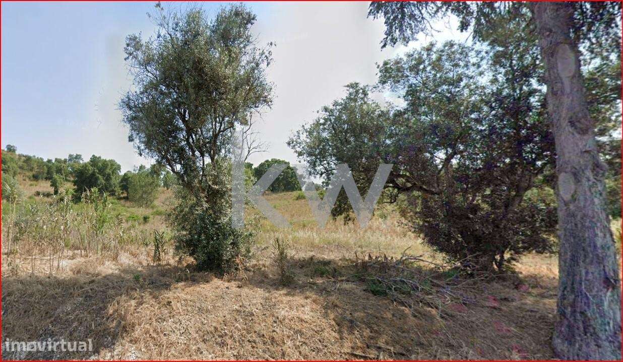Terreno com 23.229m2 em Aveiras de cima - Grande imagem: 4/4