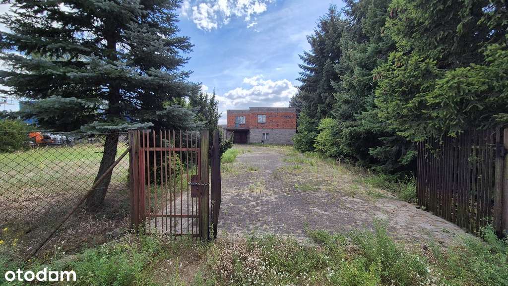 działka pod przemysł, magazynowanie i usługi - Pełny obrazek: 4/17