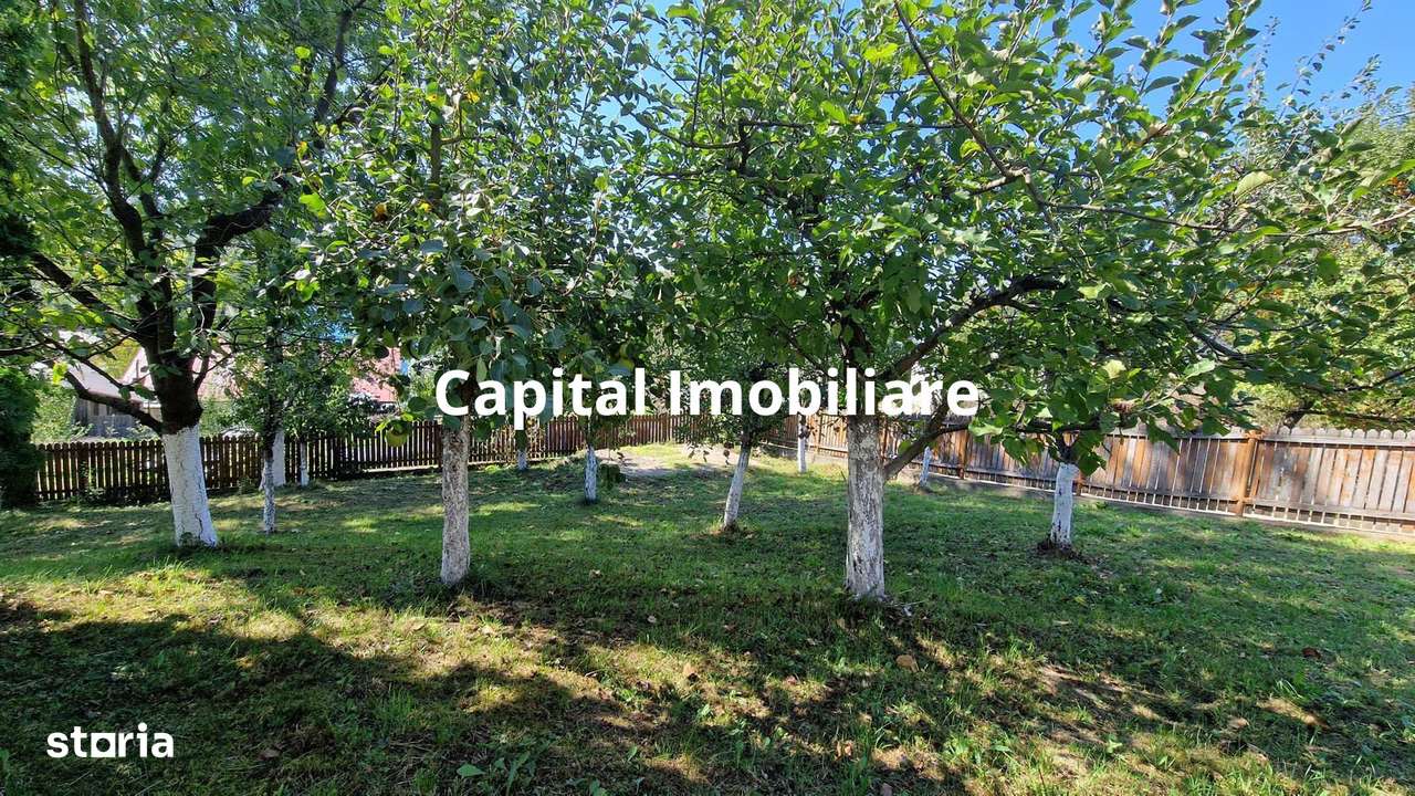 Vila spațioasă 5 dormitoare, Provita de Jos - Imagine principală: 5/20