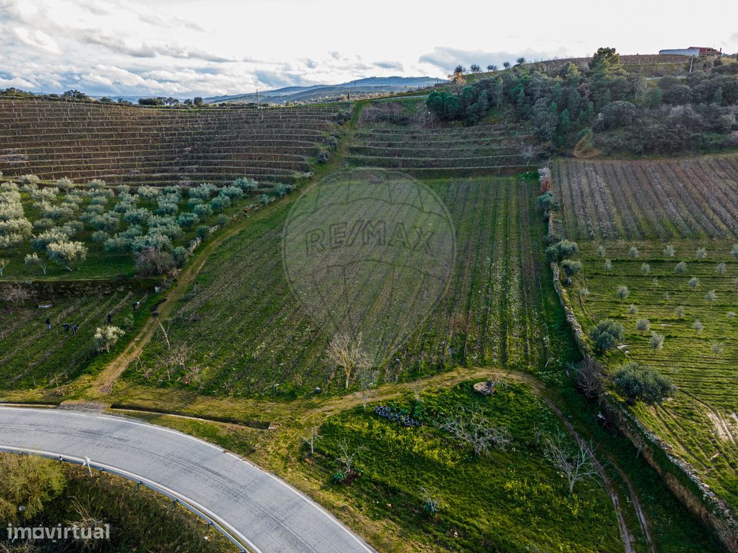 Terreno  para venda