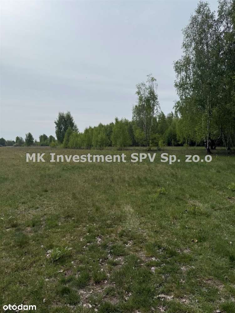 1,2 h Siedlisko Kampinos Małocice/Czosnów - Pełny obrazek: 5/6