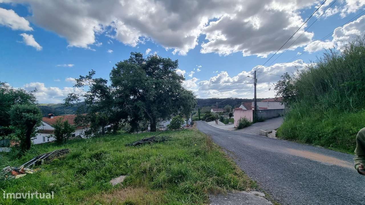 2 Moradias para remodelar com logradouro - Carvalhal Benfeito-11