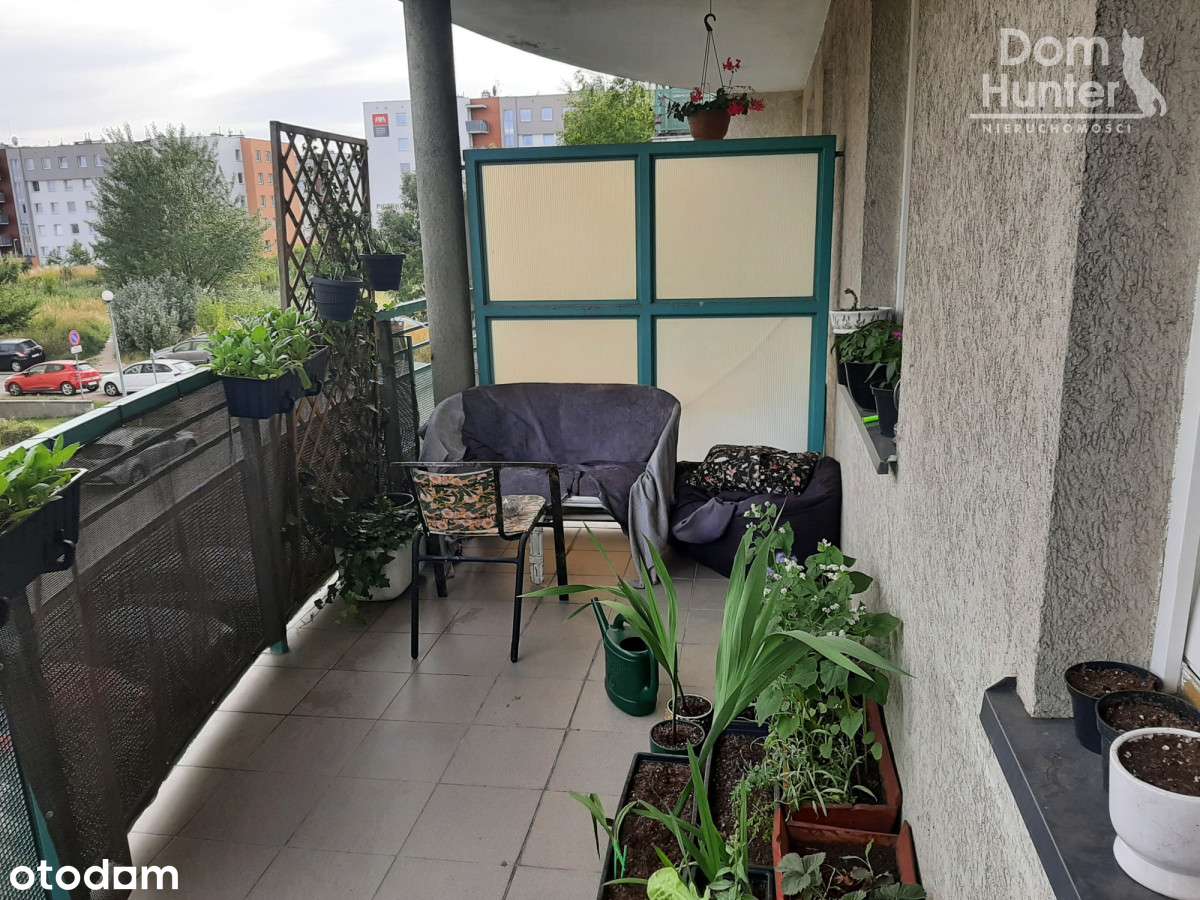 Odnowione, przestronne, jasne, 2 pok. Ujeścisko - Pełny obrazek: 3/20