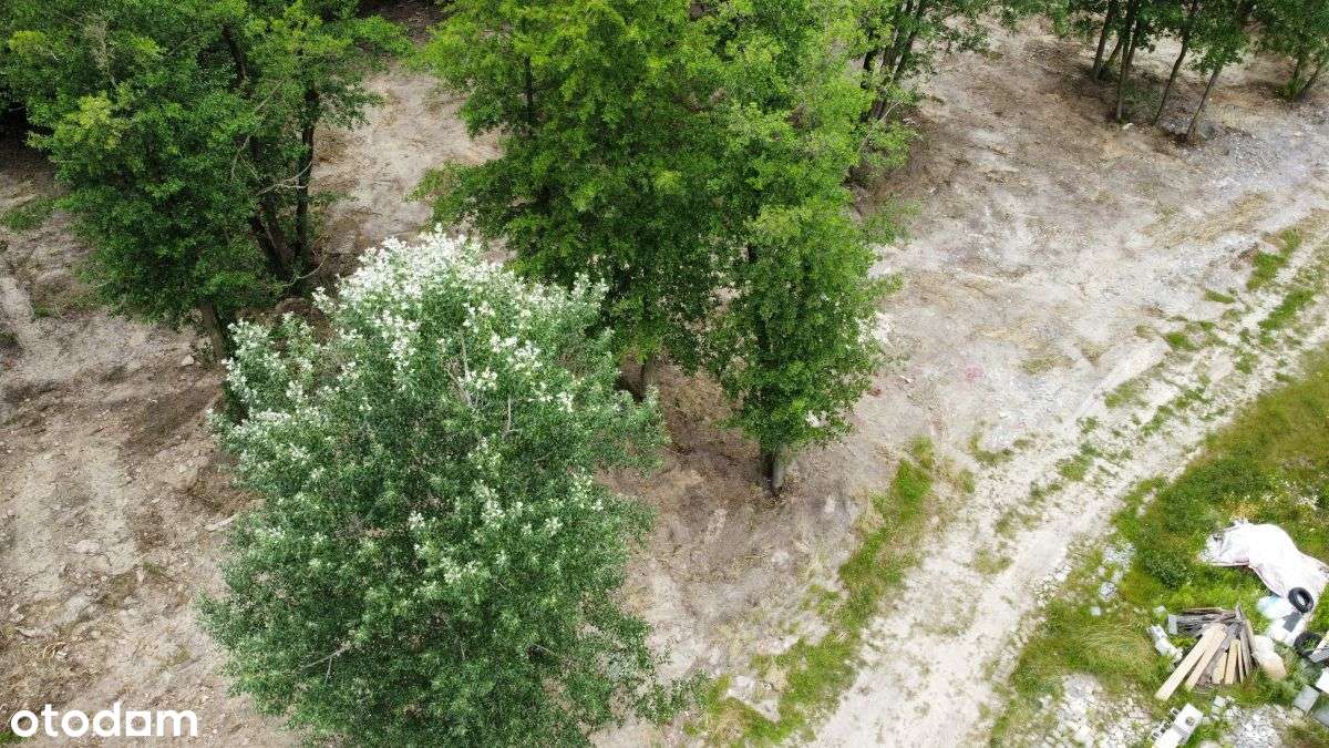 Zabudowa 2,4 lokalowa - Pełny obrazek: 5/15