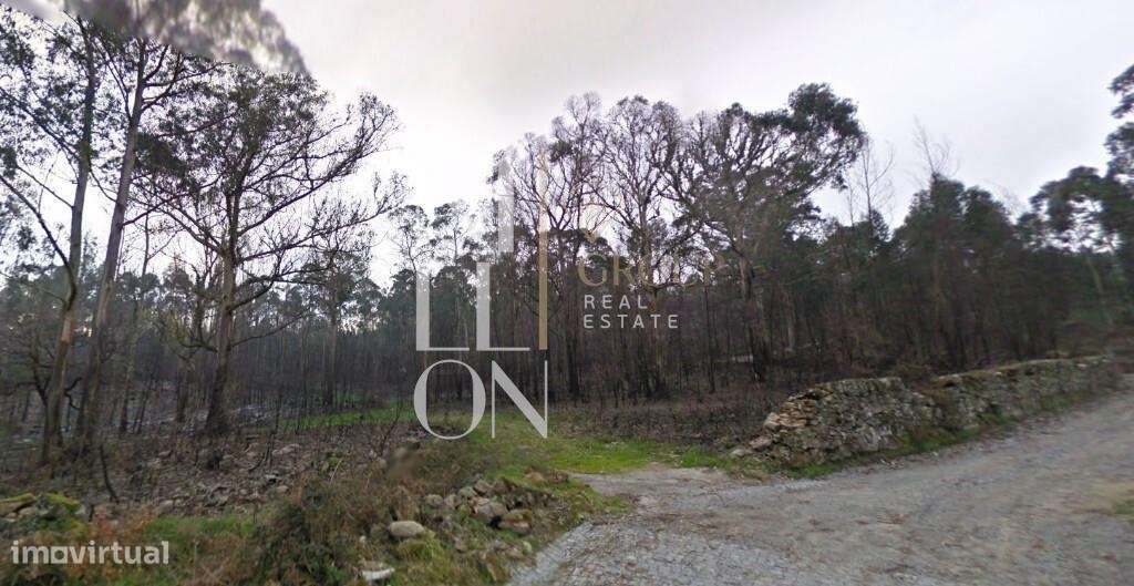 Alerta Investimento, terreno com capacidade construtiva! - Grande imagem: 3/7