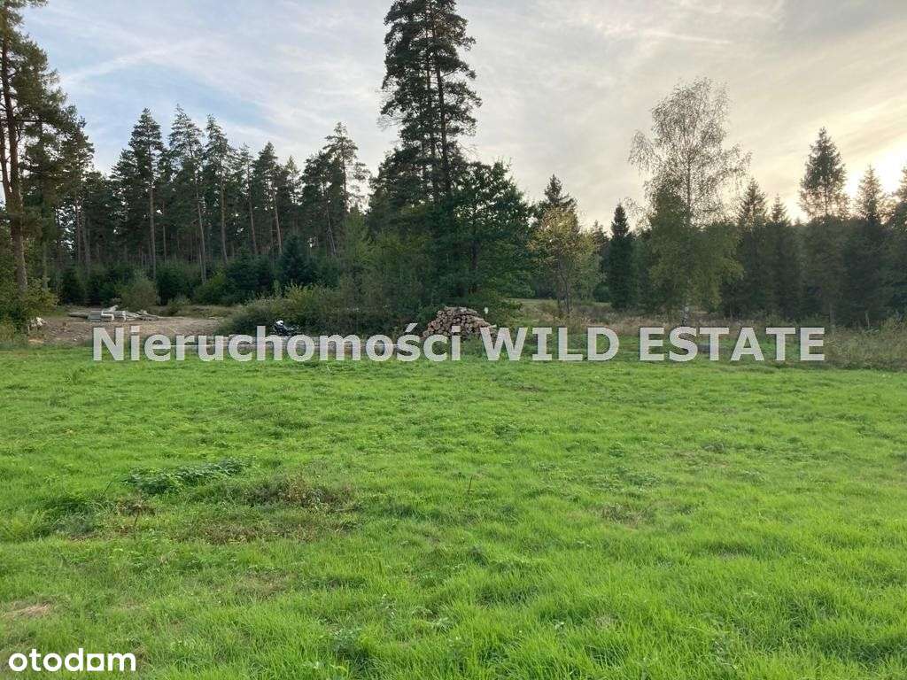 Działka, 4 588 m², Solina - Pełny obrazek: 4/5