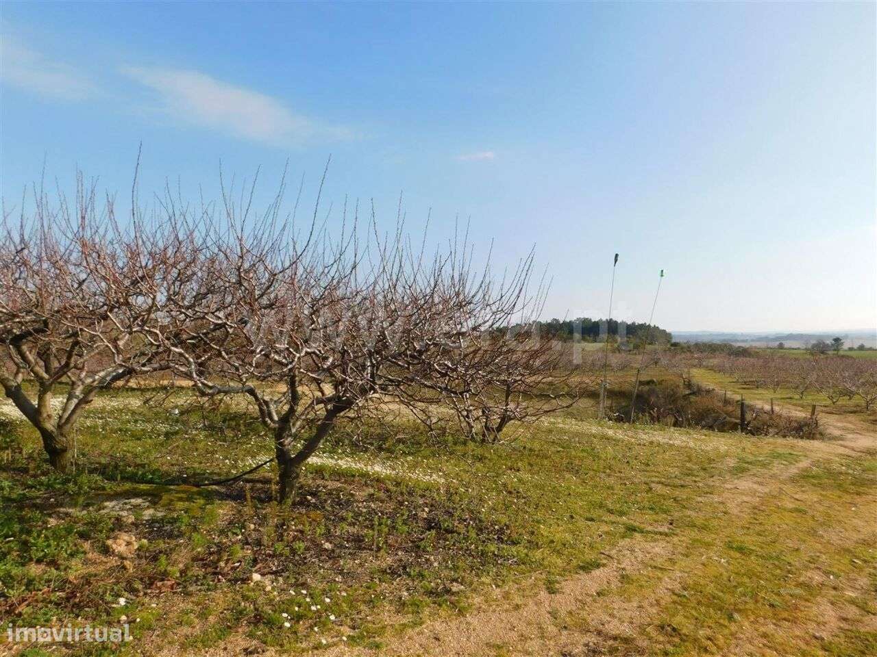 Quinta / Fundão, Catrão - Grande imagem: 4/4