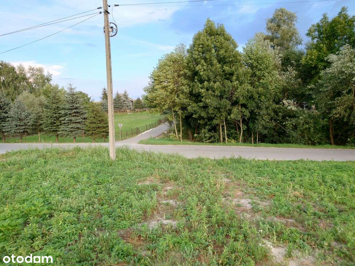 Królewice, 50 km od Krakowa, działka pod zabudowę-5